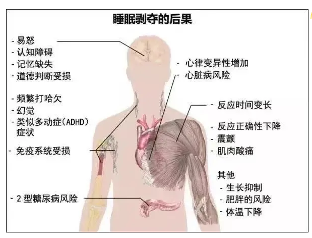 熬夜指南来了！不做秃头小宝贝，科学熬夜有讲究~