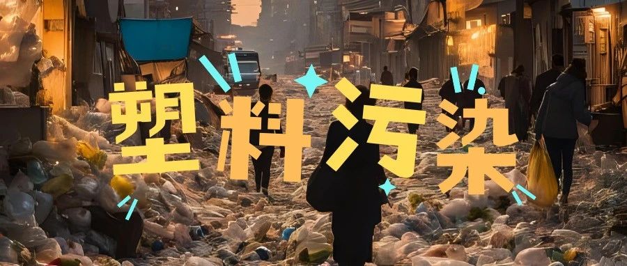 塑料污染大揭秘！
