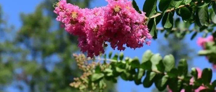 活动招募丨全国生态日“生物多样性探究”系列活动——走进上海植物园，探秘“土壤精灵”