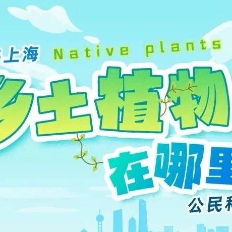 活动招募 ｜2025年“乡土植物在哪里”公民科学普及项目暑期分享会