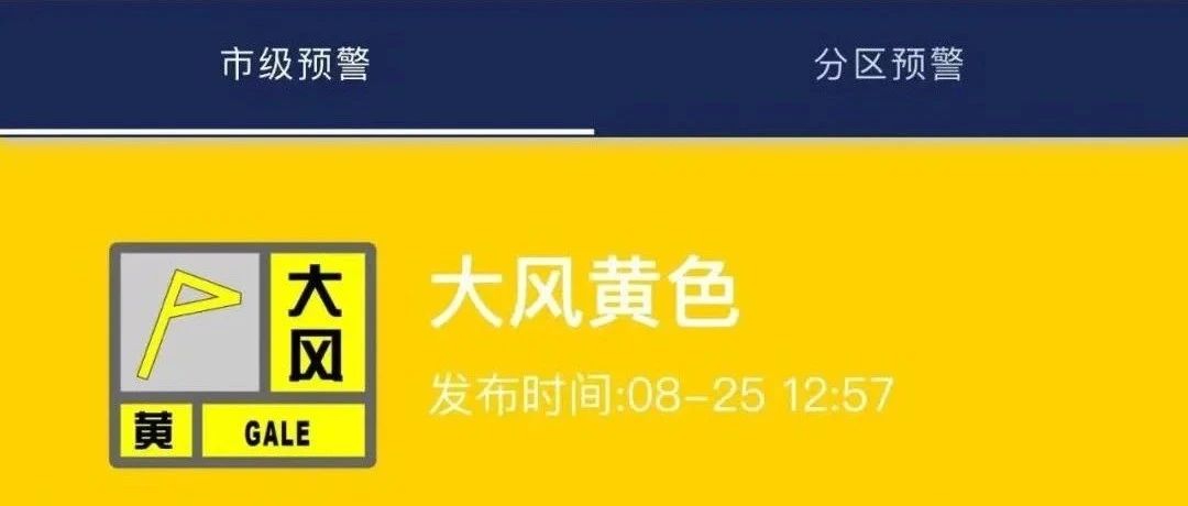 上海高温炙烤与强对流“齐飞”！