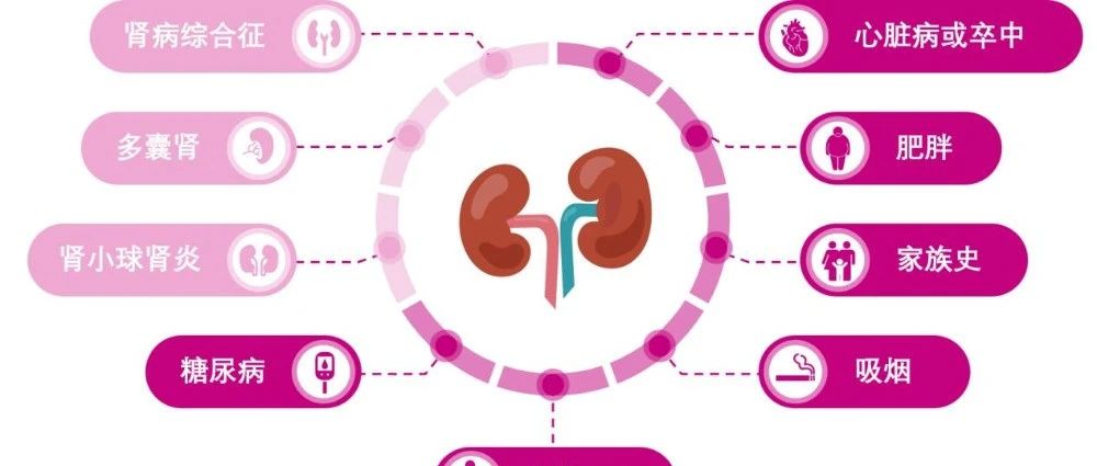 【斡旋三焦 调肾固本】做好慢性肾脏病的三级预防，还自己一个健康肾脏（一）