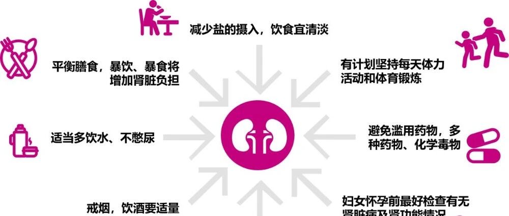 【斡旋三焦 调肾固本】做好慢性肾脏病的三级预防，还自己一个健康肾脏（二）