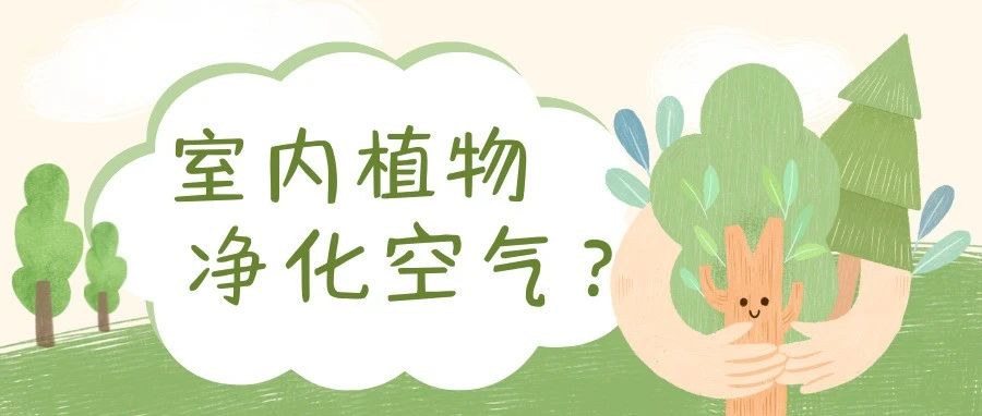绿色植物能吸附室内空气污染物吗？
