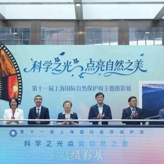 线上+线下，第十一届主题摄影展带你双倍沉浸看展，体验新玩法！