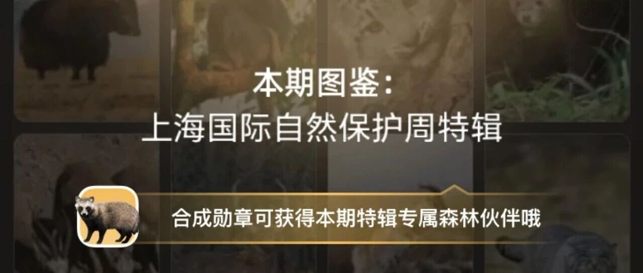 申申在“蚂蚁森林”等你哦，一起来抽神奇物种卡片啦！