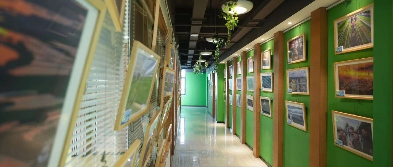 “两山”理念引航 科技之光护绿！第十一届上海国际自然保护周主题摄影展亮相徐汇