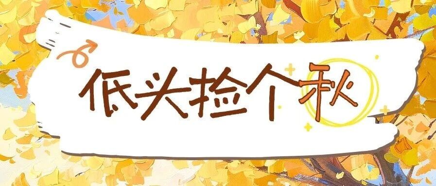 你的秋日限定礼物已到达！“落叶不扫” 感官图鉴上线，解锁沉浸式赏叶新姿势～