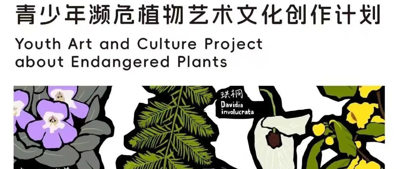 自然创作营招募丨植物守护者——青少年濒危植物艺术文化创作计划