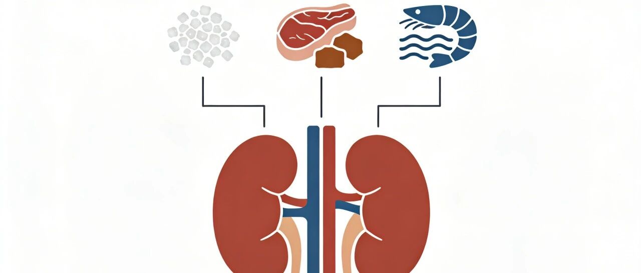 【斡旋三焦 调肾固本】高盐、高蛋白、高嘌呤：饮食中的 “伤肾陷阱”你踩中了吗？