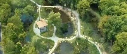 上海首批生境花园Citywalk路线发布！13条路线带你充分感受城市的自然、人文和艺术