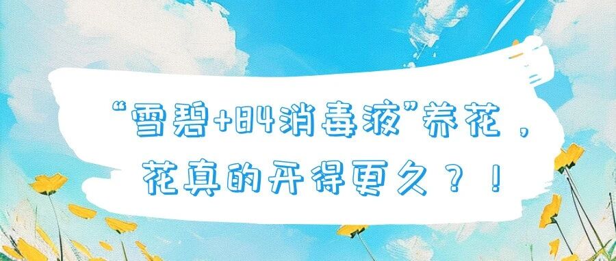 涨知识！&ldquo;雪碧+84消毒液&rdquo;养花，花真的开得更久！