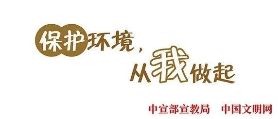 【环保科普】如何保护生态环境？