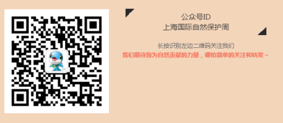 保护鸟类，共享自然之美