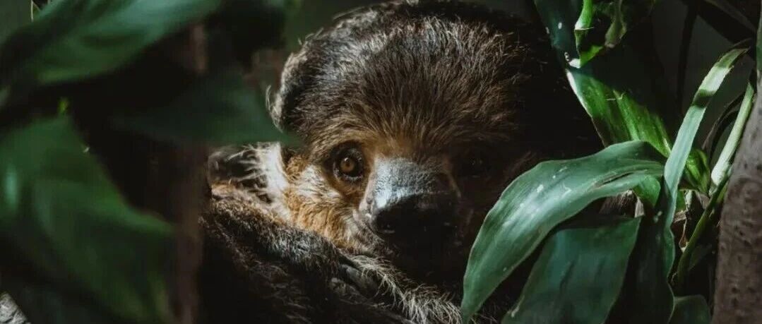 &ldquo;闪电&rdquo;：慢下来，治愈所有匆忙