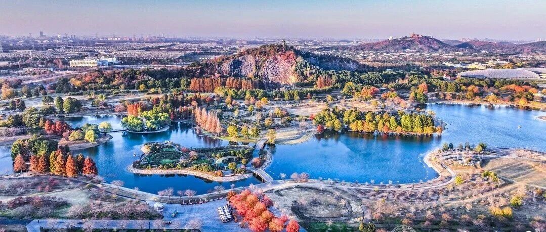 元旦去哪儿？辰山学院邀大小朋友共赴植物园，赏冬、登高...解锁新年自然密码~