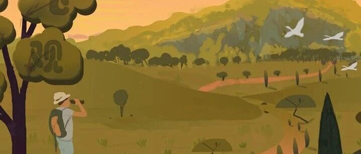 辰山飞羽 | 周末来辰山和鸟儿赴一场季节的约定