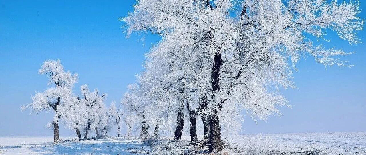 大寒至，待春归！