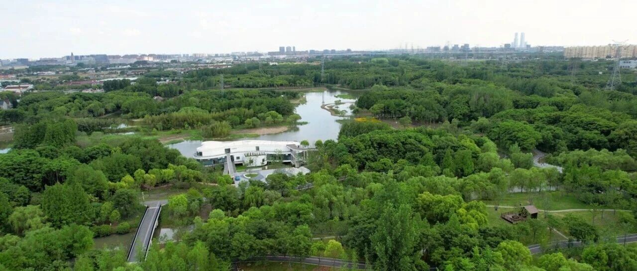 【沪上自然秘境】以湿地为特色，这座环上公园带你体验灵动之美