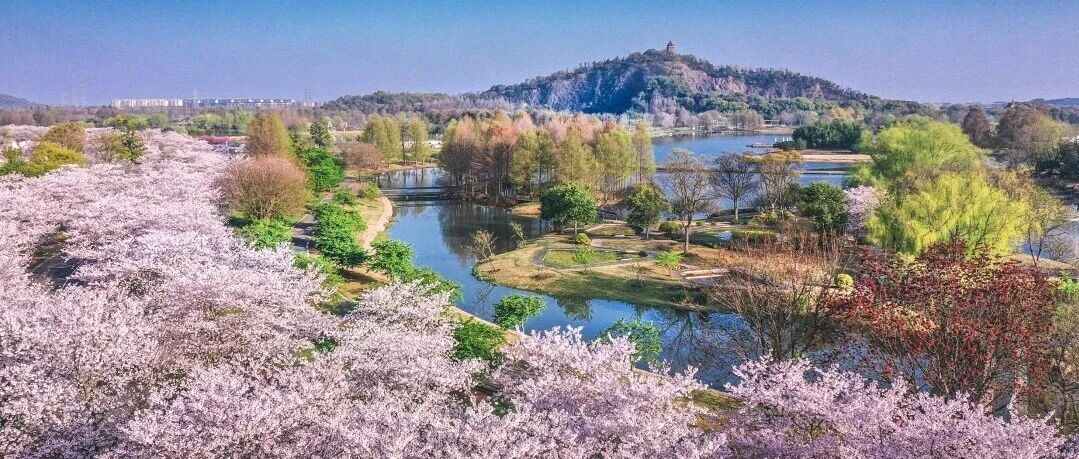 招募丨&ldquo;辰山花社&rdquo;招生啦！