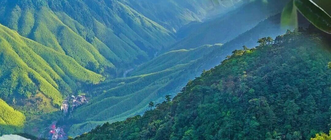 植绿护林，点石成金
