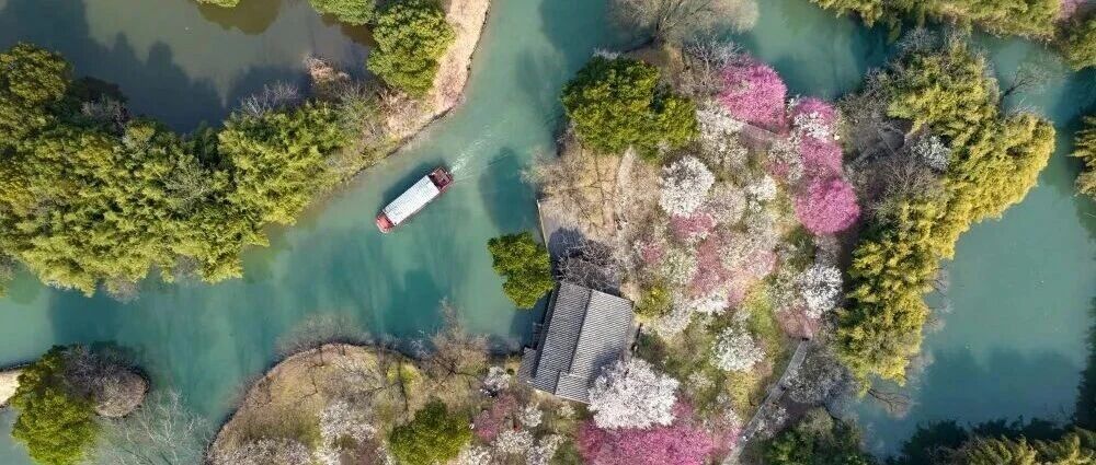 湿地蝶变进行时