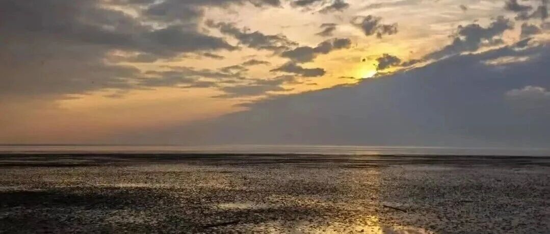 【世界湿地日】沪上湿地知多少&rarr;