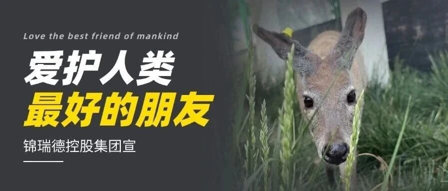 守护动物安全 共创生态平衡