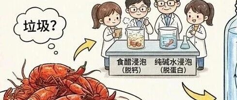 吃剩的虾壳除了当湿垃圾丢弃，还有什么用？它们居然可以用来对付微塑料！
