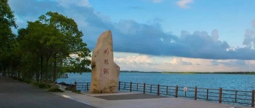 【沪上自然秘境】上海&ldquo;首个&rdquo;生态5A级景点走红，自然风光美到窒息，堪称世外桃源，