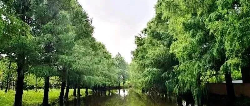 【沪上自然秘境】知道吗？闵行有4个野生动物重要栖息地！看，都有谁