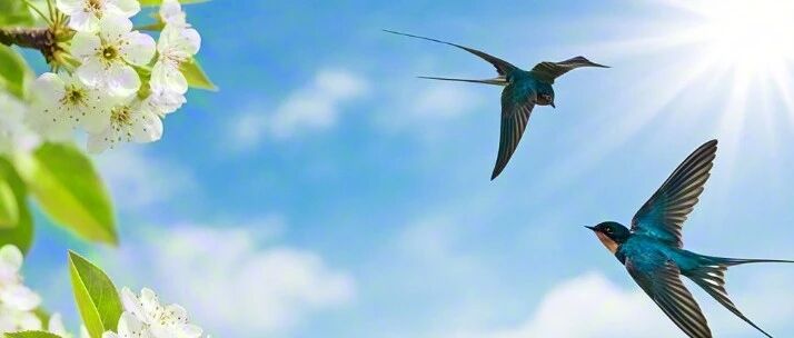 清明至，这些科普知识你知道吗？-