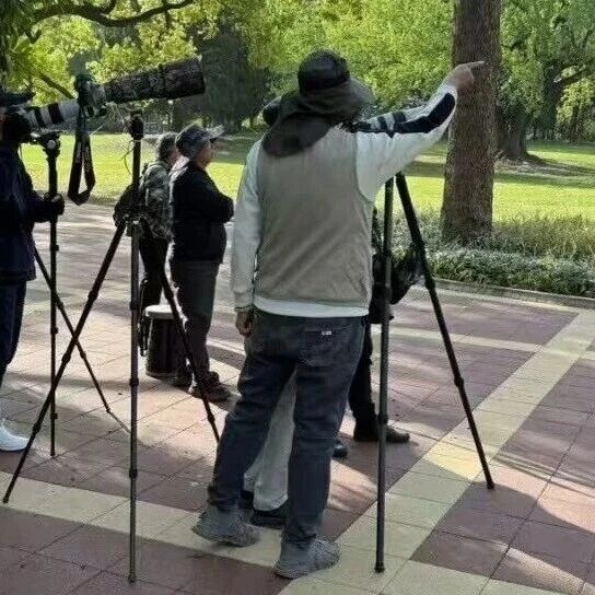 2026年上海第二届观鸟拍鸟器材公益展&观鸟活动&讲座，帮你找到&ldquo;定海神针&rdquo;！