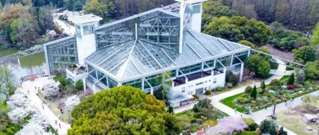 上海植物园：科普之光，照亮自然之路