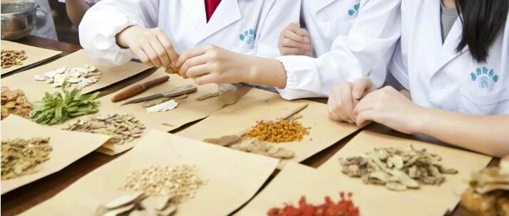 上海中医药大学：传承千年智慧，播撒中医药文化种子