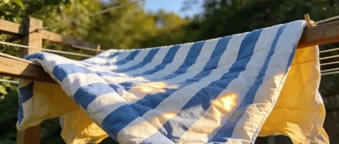 晒被子也有&ldquo;正确姿势&rdquo;，很多人都做错了&rarr;