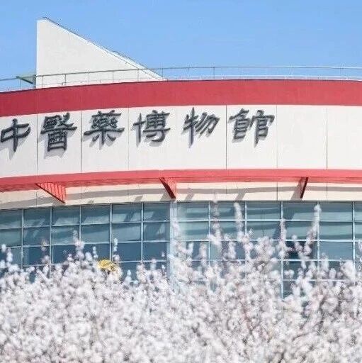 【公告】518国际博物馆日｜来我馆盖专属印章，赴一场中医药文化之约