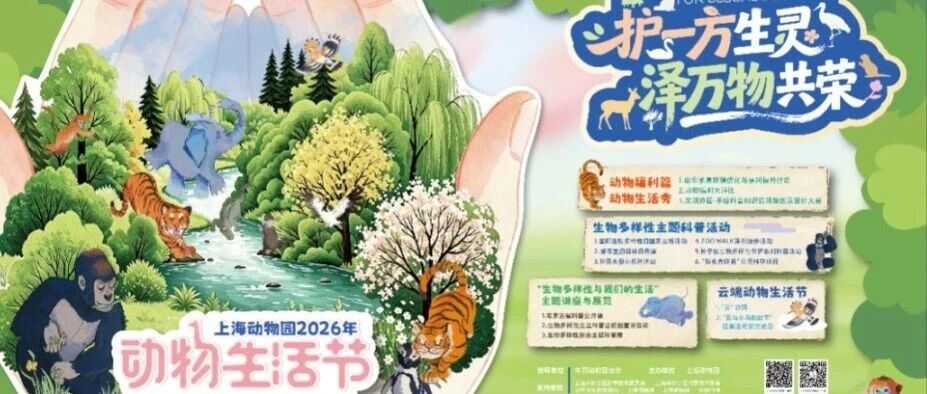 动物生活节 | 解锁大城市里生物多样性
