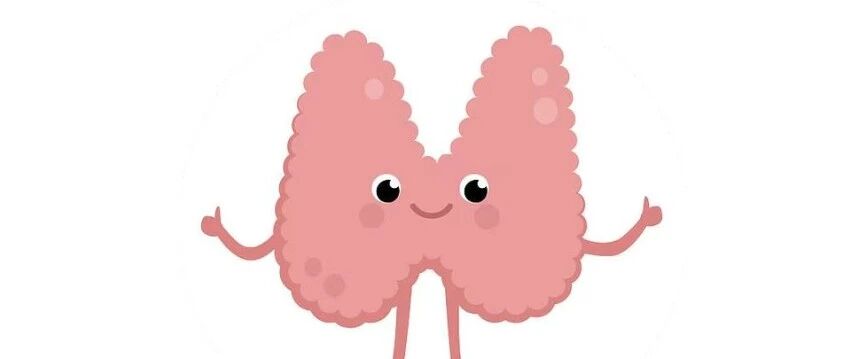 世界甲状腺日 | 这只"蝴蝶"虽小，却掌管着你全身的命脉！