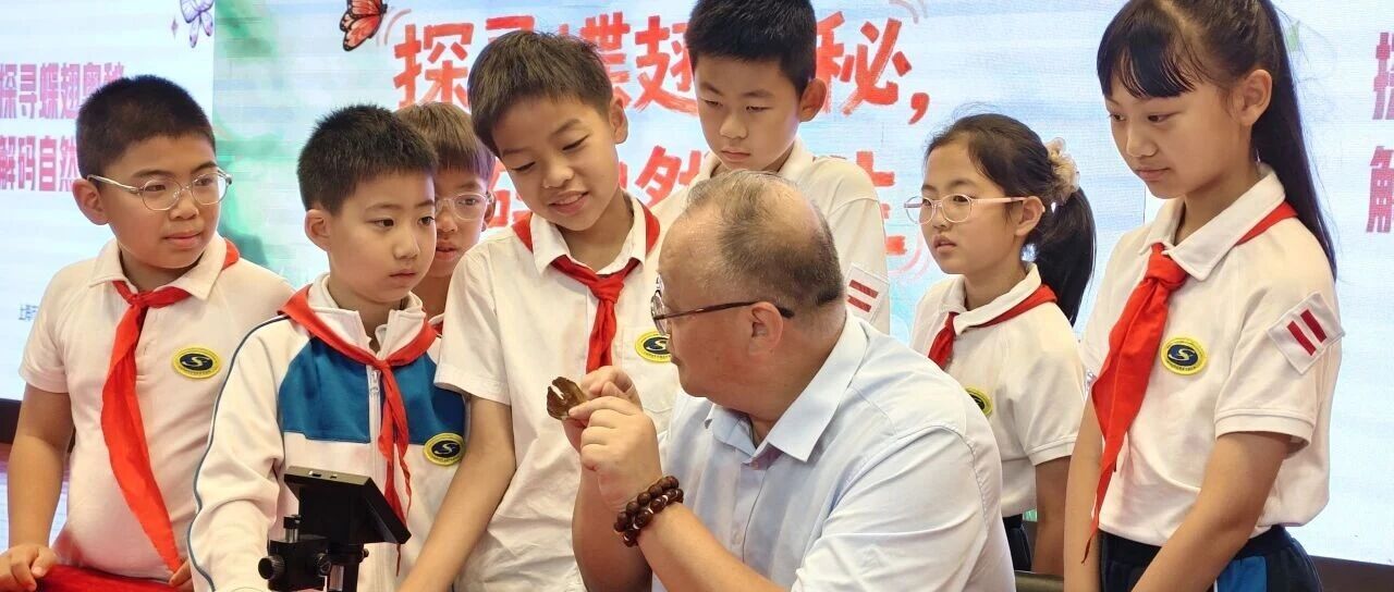 专家志愿者进三区 | 探寻蝶翅奥秘，解码自然仿生