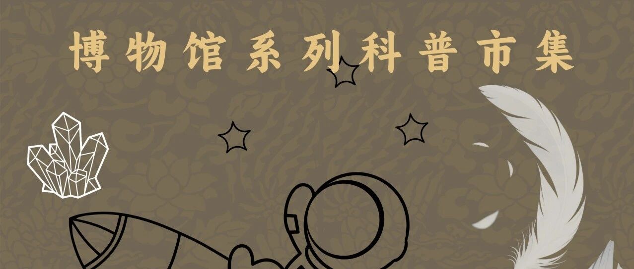 全国科普月|活动回顾：家门口的博物馆系列科普市集圆满完成！！！
