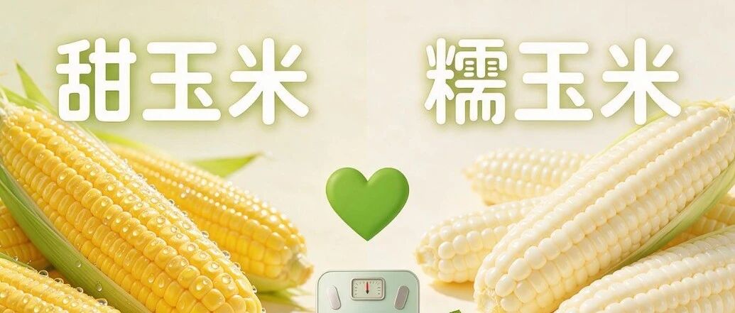 别再把玉米当&ldquo;万能控糖主食&rdquo;！选错款越吃越胖