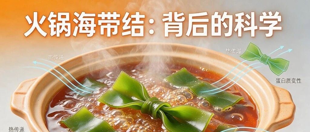 火锅海带打结的科学逻辑